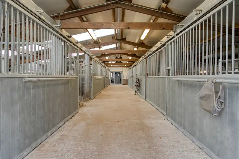 Exclusieve eigendom op ca. 4,4 hectare met professionele paardeninfrastructuur foto 9