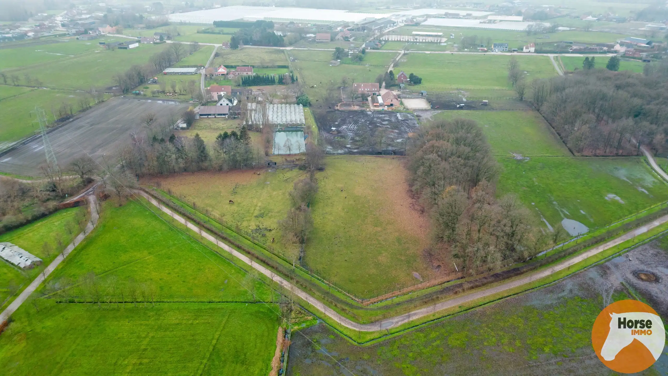 SINT-KATELIJNE-WAVER - Woning met serre en loods op 2,93 ha! foto 25