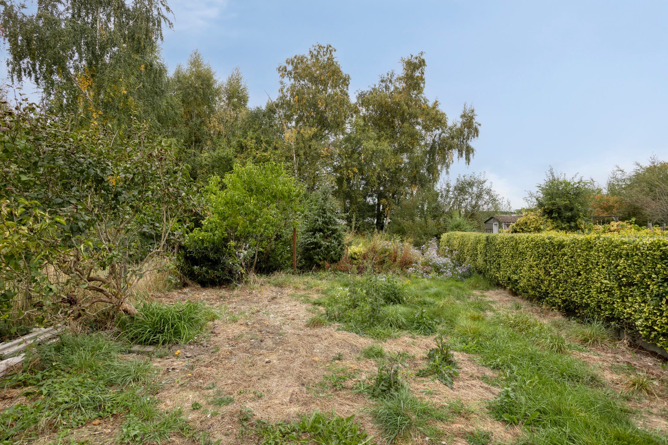 Gerenoveerde woning met 5 slaapkamers en tuin te Wilsele foto 21