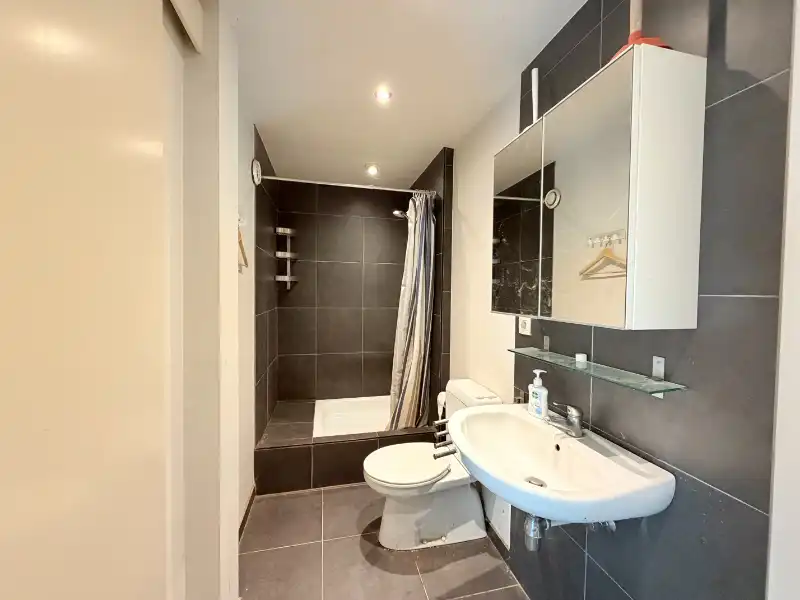 CHARMANT BELUIKHUISJE IN CENTRUM GENT foto 3