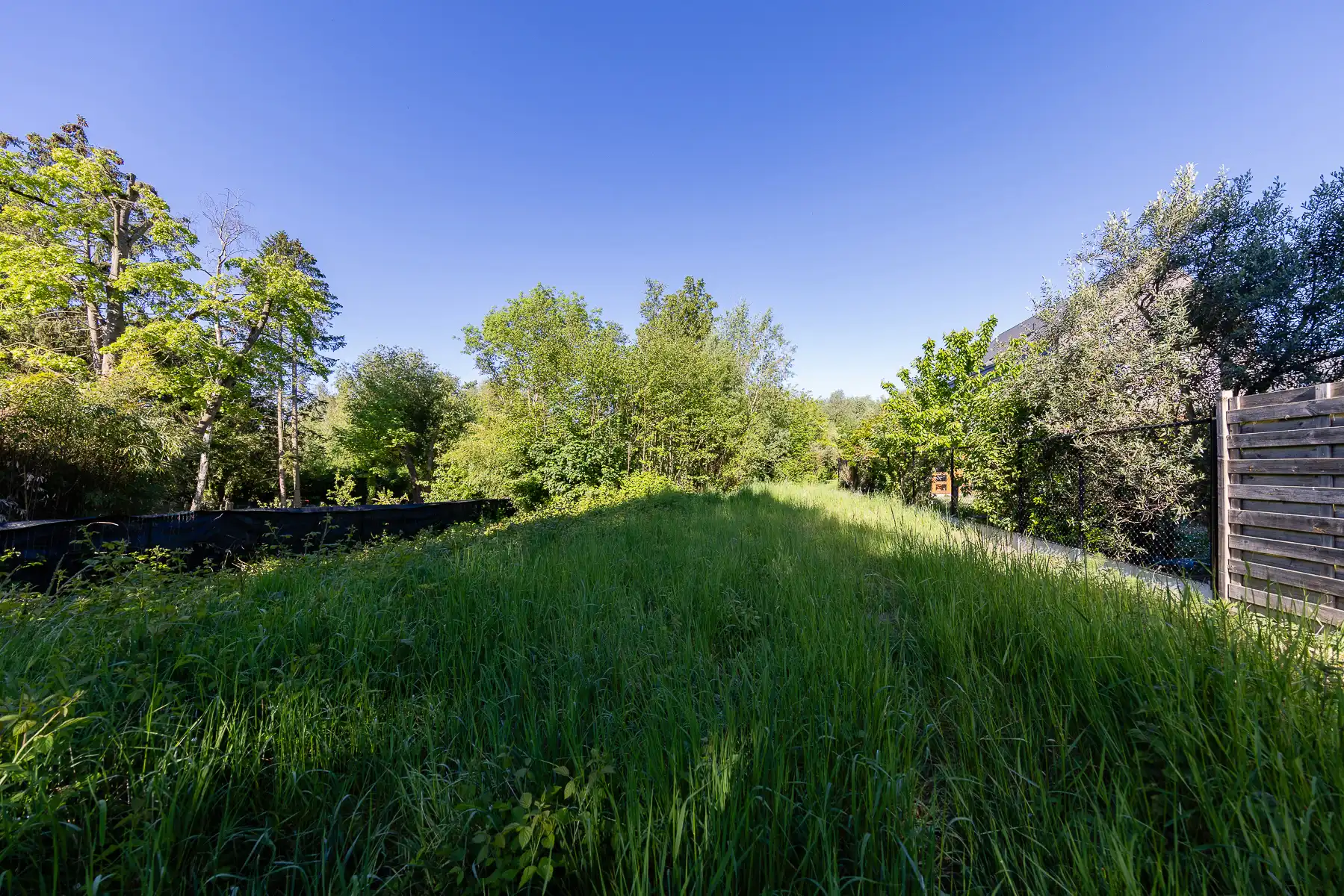 Unieke bouwgrond foto 3