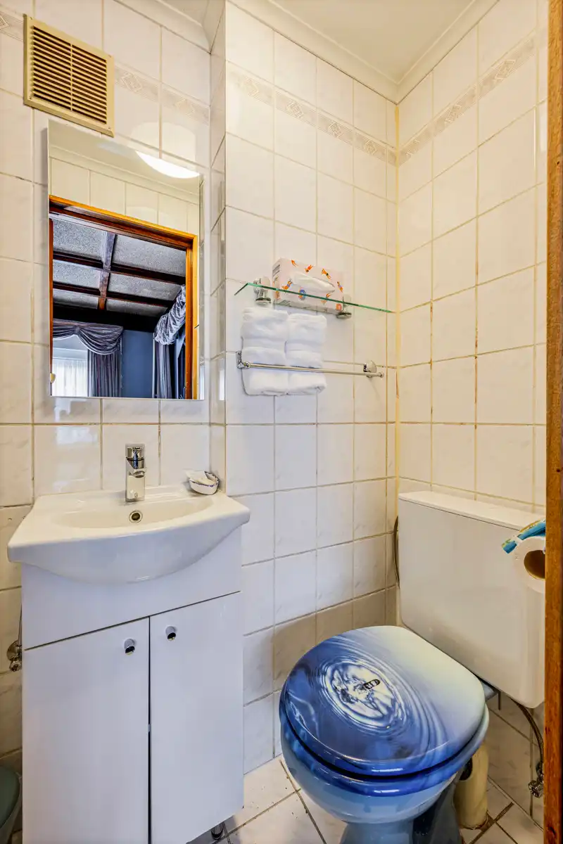 WONING MET 9 KAMERS en 9 BADKAMERS foto 44