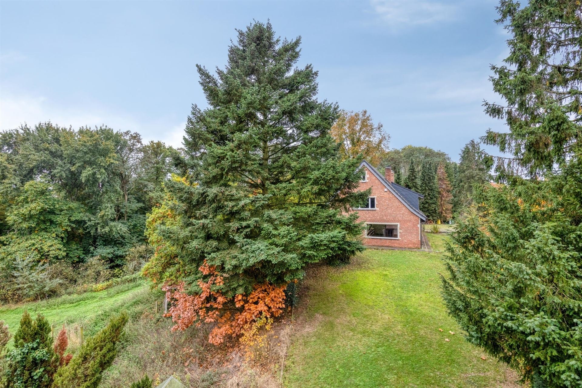 Unieke eigendom met veel potentieel op een domein van circa 85 are foto 3