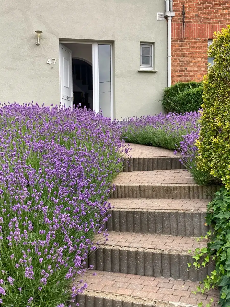 Woning met 3 slaapkamrs, inpandige garage en Z-gerichte tuin foto 2