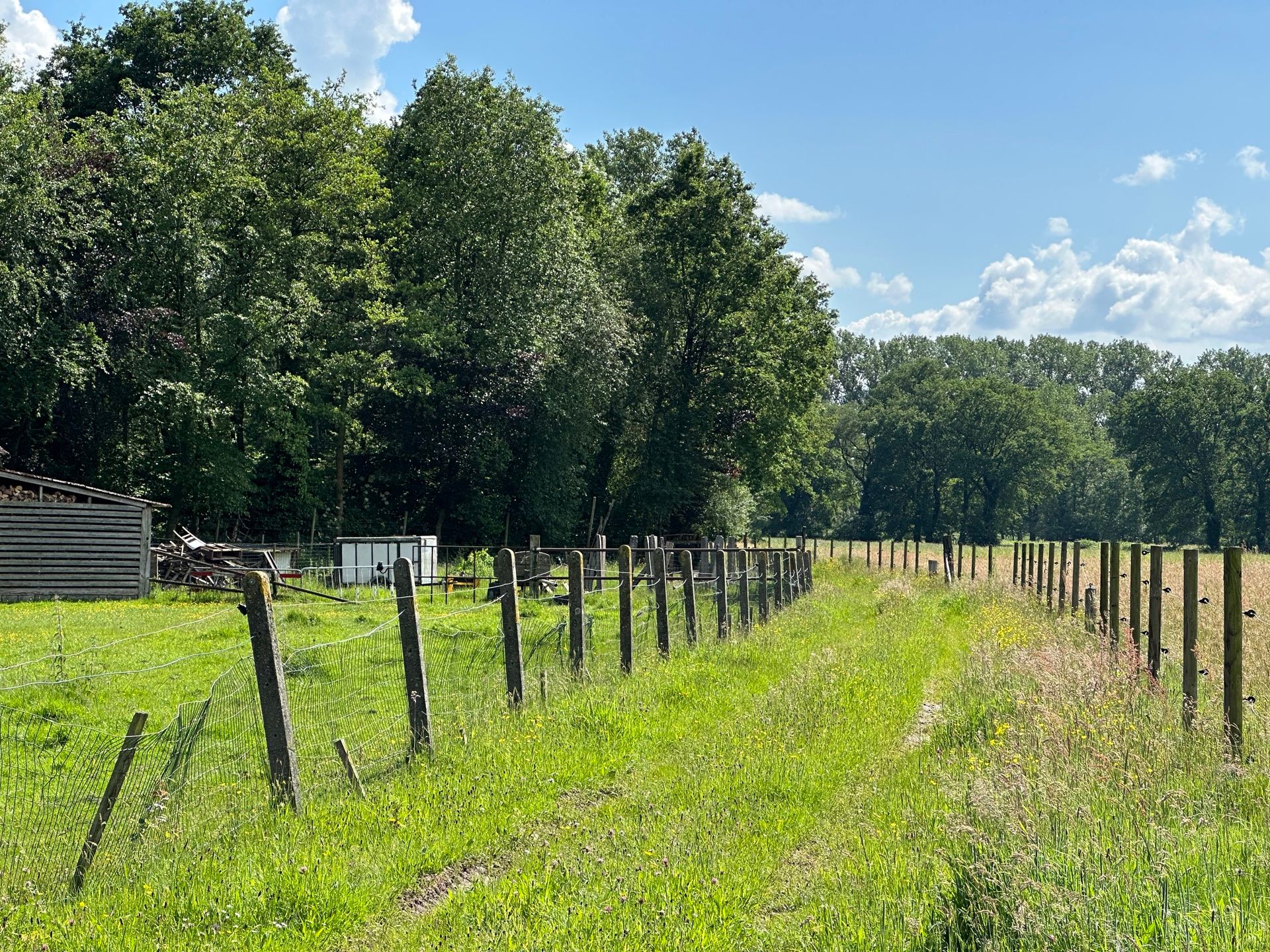 KERMT - Statige hoeve met bijgebouwen op 2ha13  foto 35