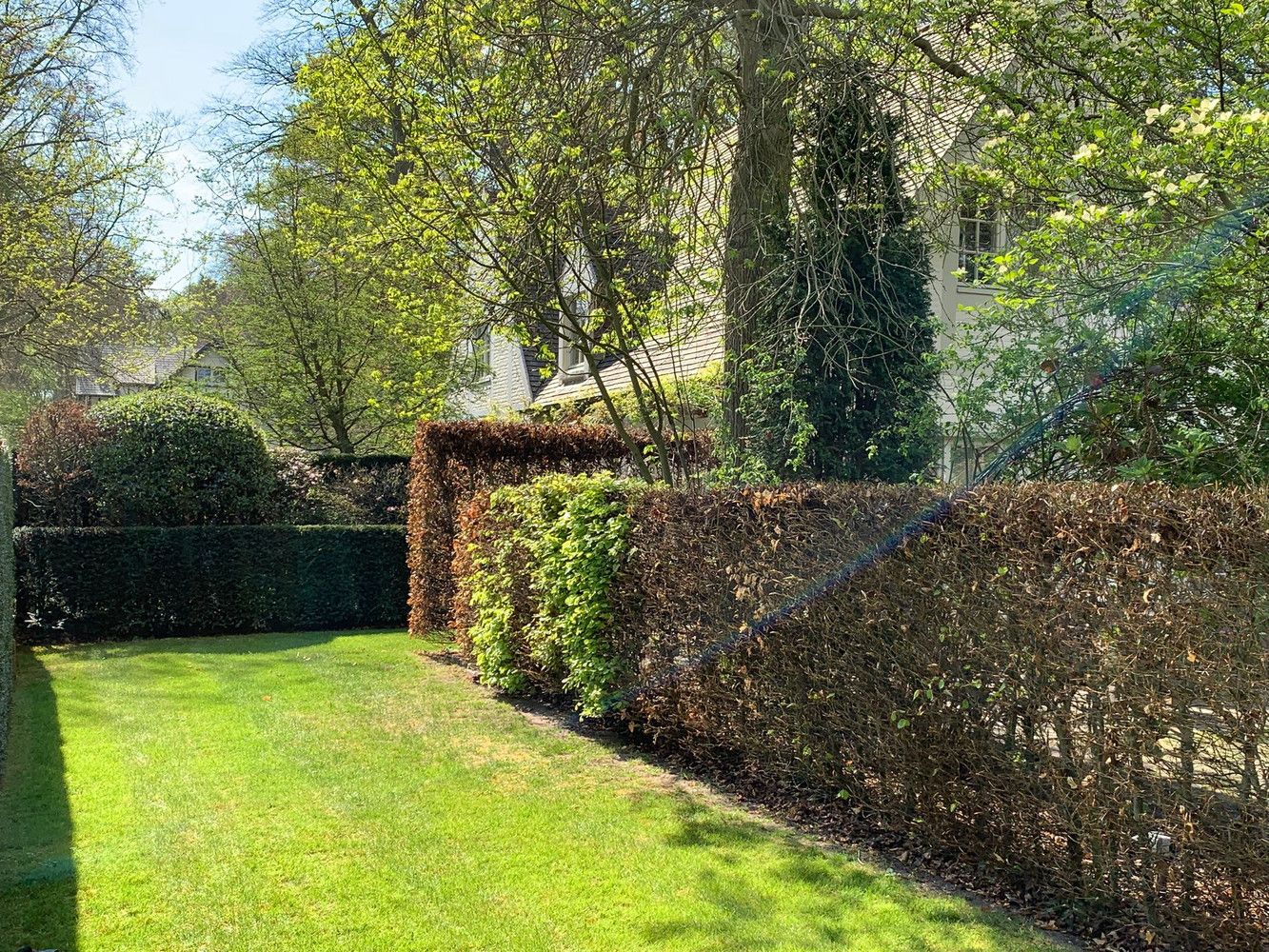 Ruime gezinswoning in Kapellen foto 34