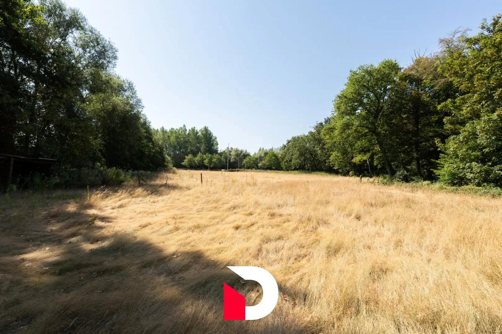 Stuk weiland van 10.627 m² gelegen tussen de Maalse Seenweg en de Antwerpse Heirweg. foto 10