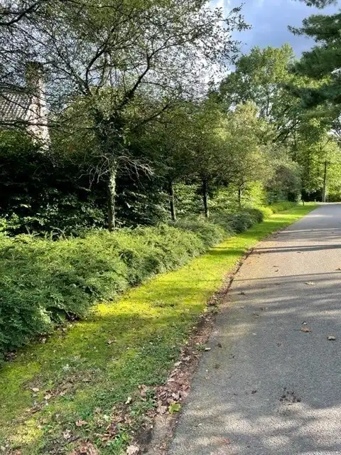 Exclusieve Villa op perceel van 3675 m² ook als Kangoeroe woning foto 5