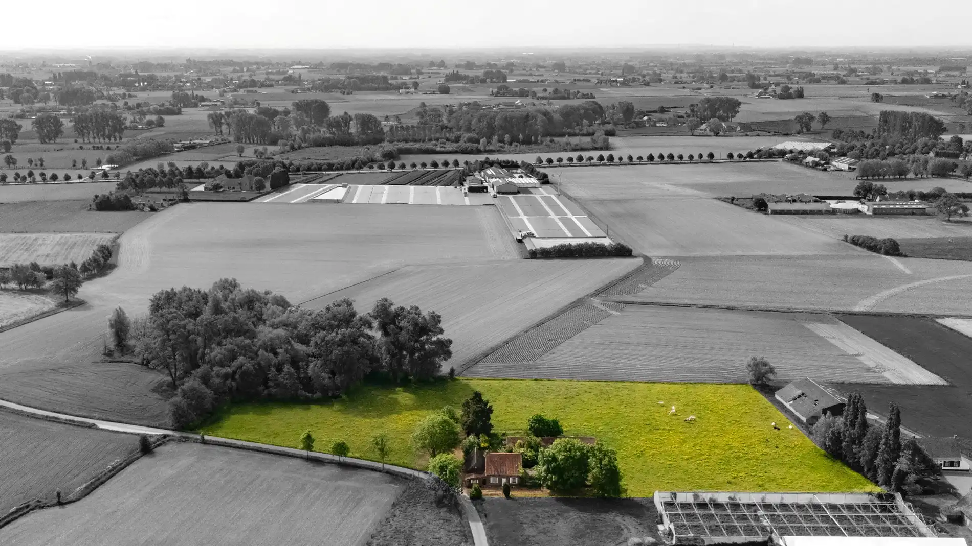 PRACHTIG GELEGEN HOEVE | RUSTIGE LIGGING | 1ha 47a foto 2