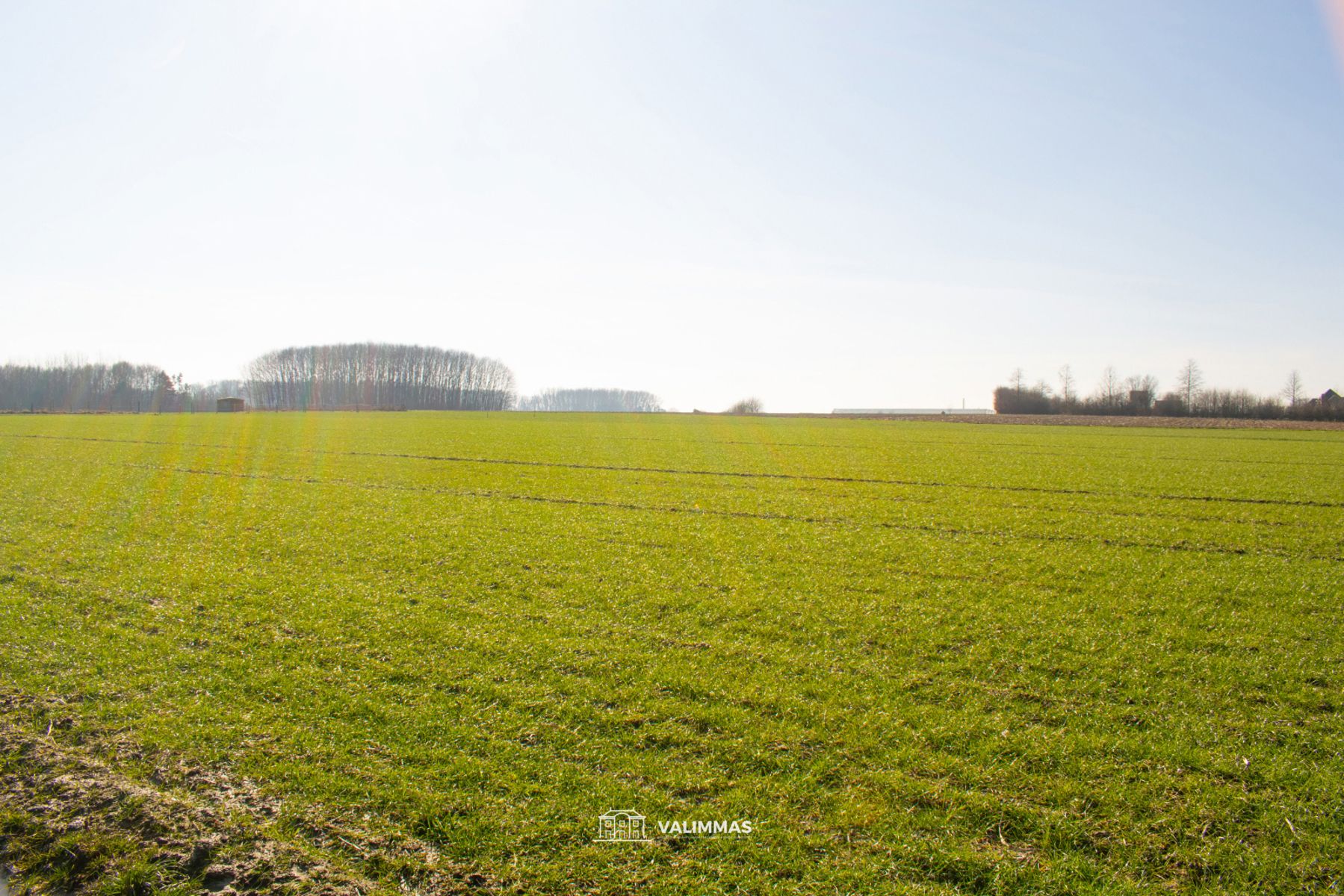 Mooi gelegen landbouwgrond, ± 14 are  foto 3