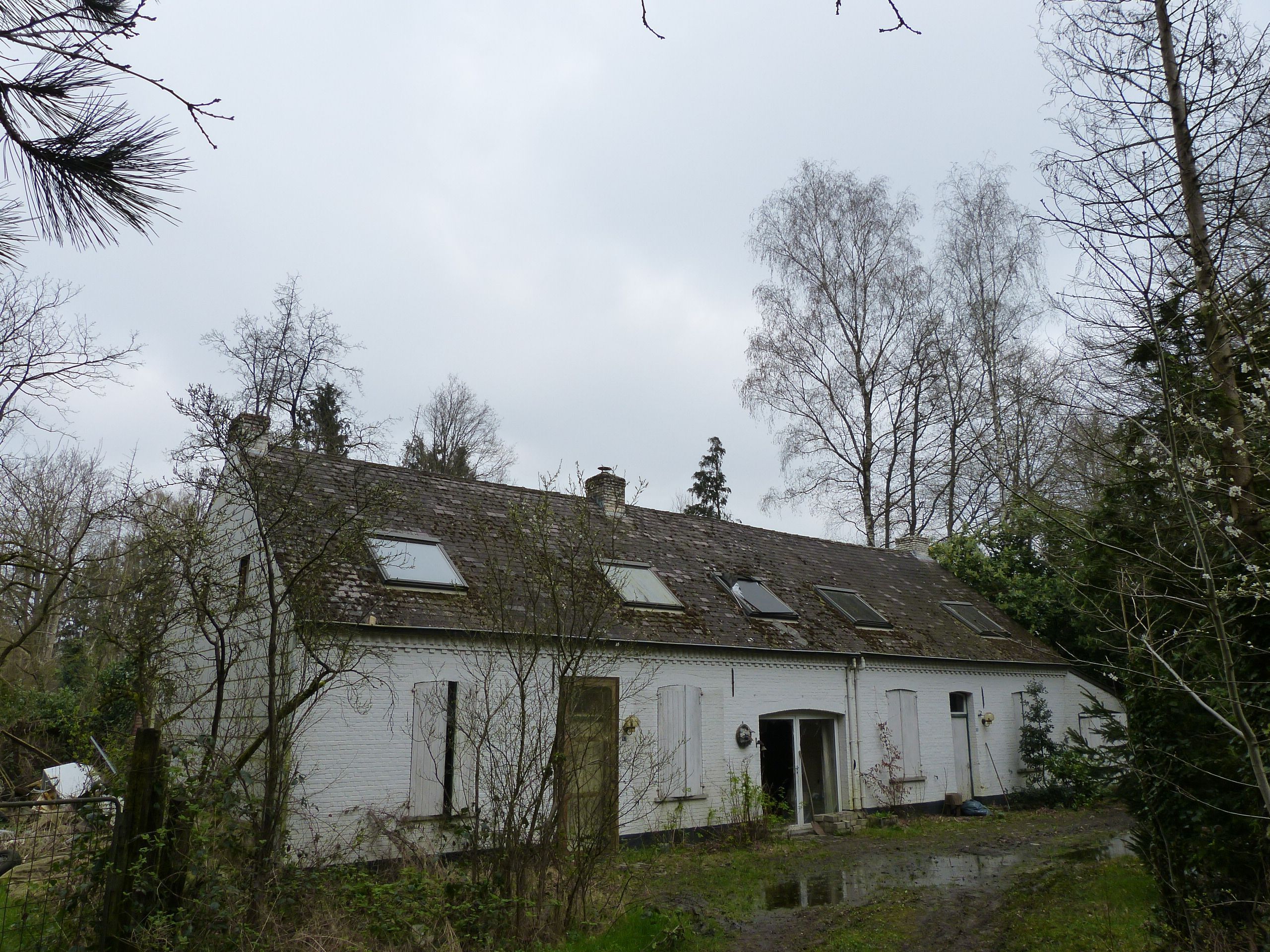 Hoofdfoto van de publicatie: Langgevel hoeve Te Koop