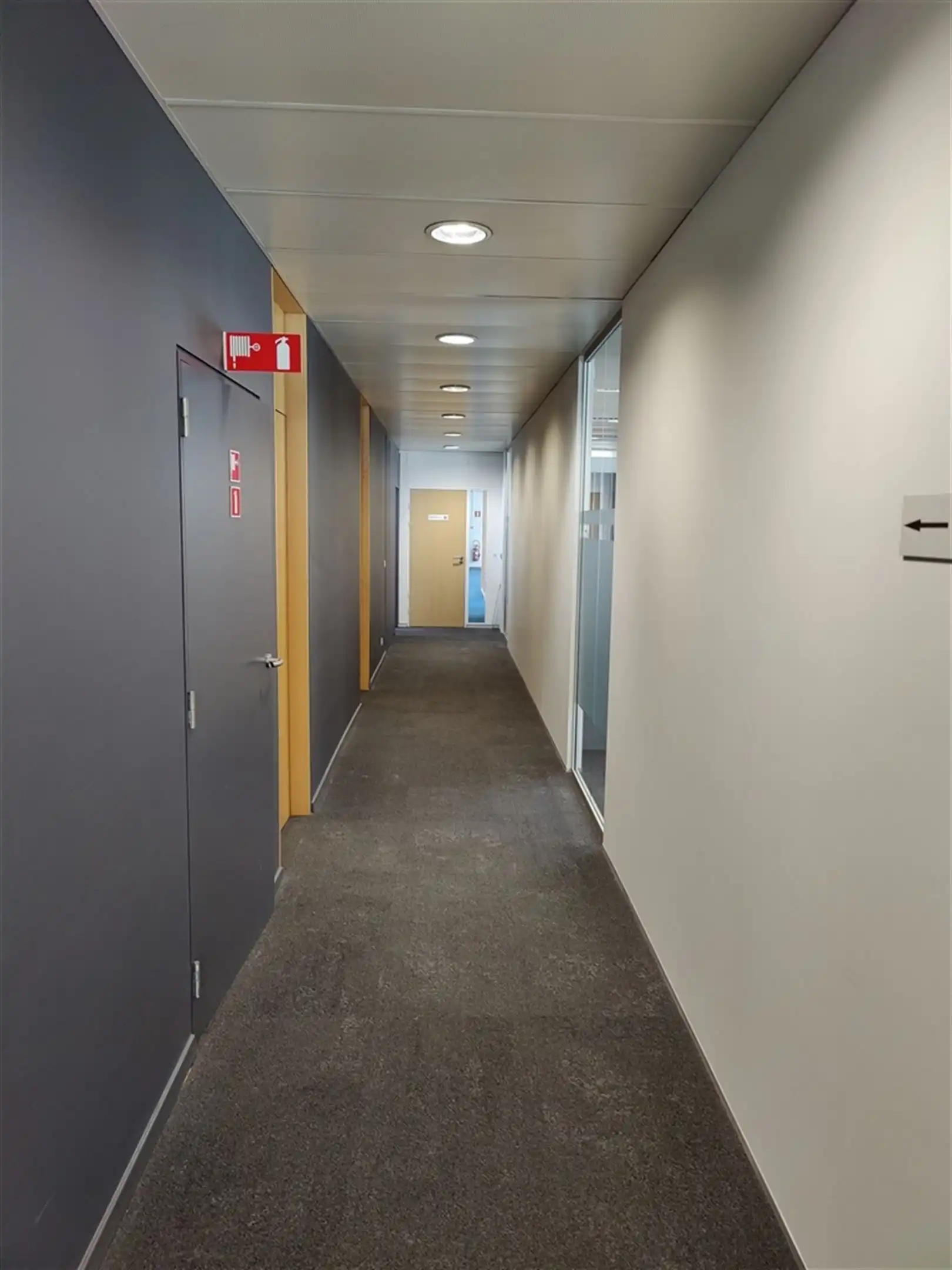 LOUIZA 209A: 444m² foto 9