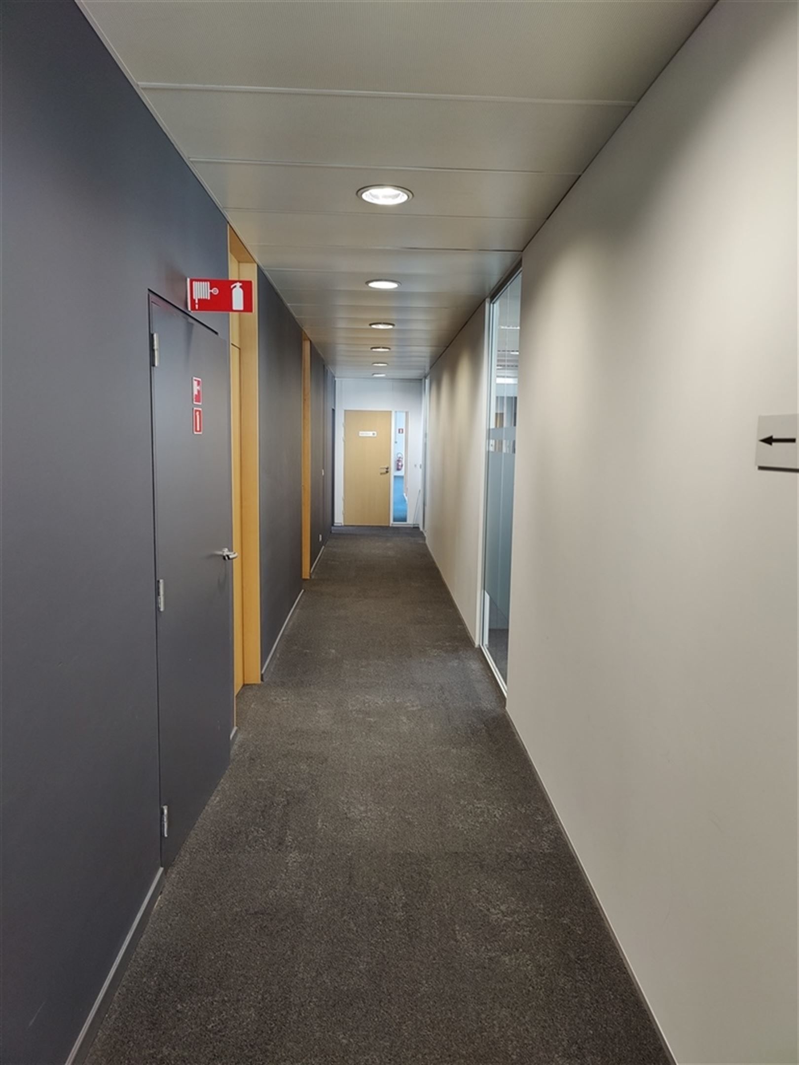 LOUIZA 209A: 444m² foto 9