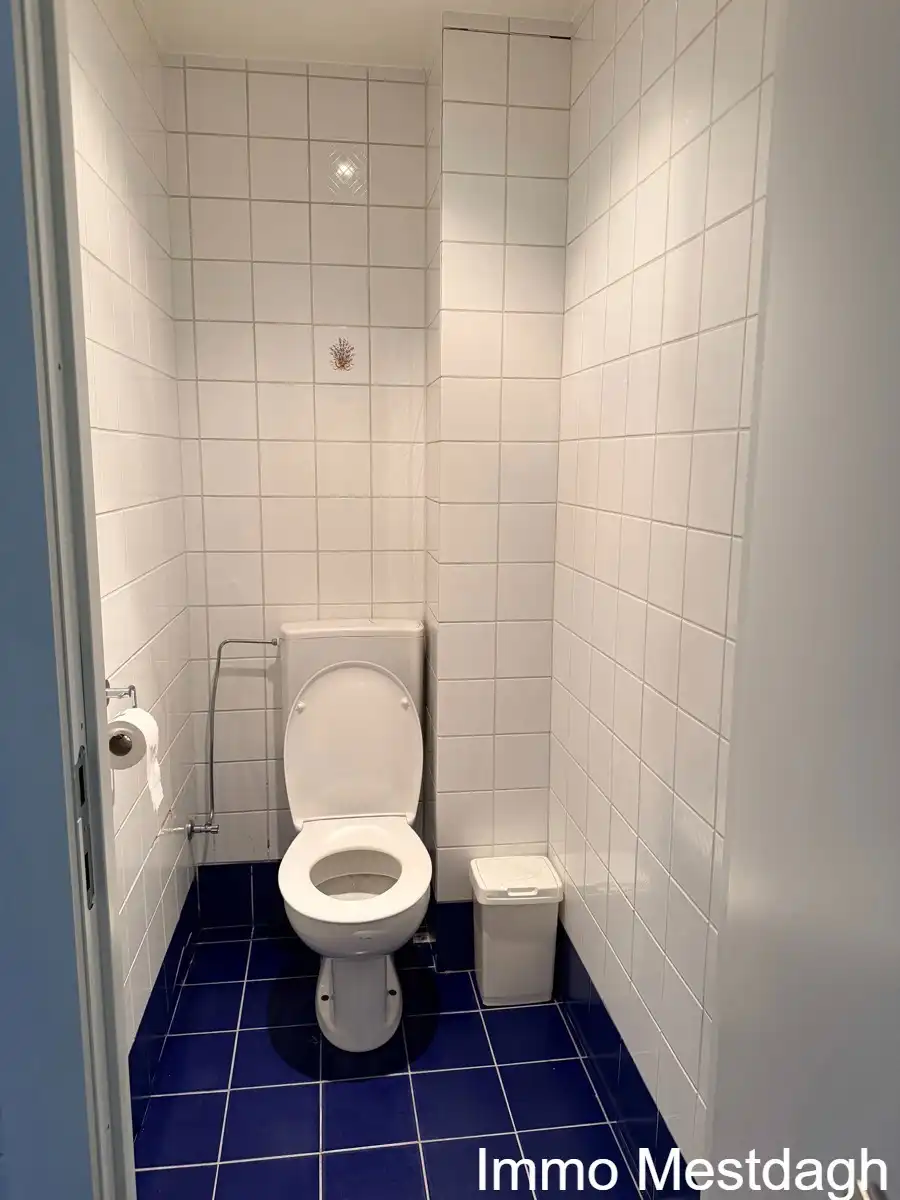 Uitstekend gelegen handelsgelijkvloers met maximale visibiliteit in het centrum van Diest foto 16