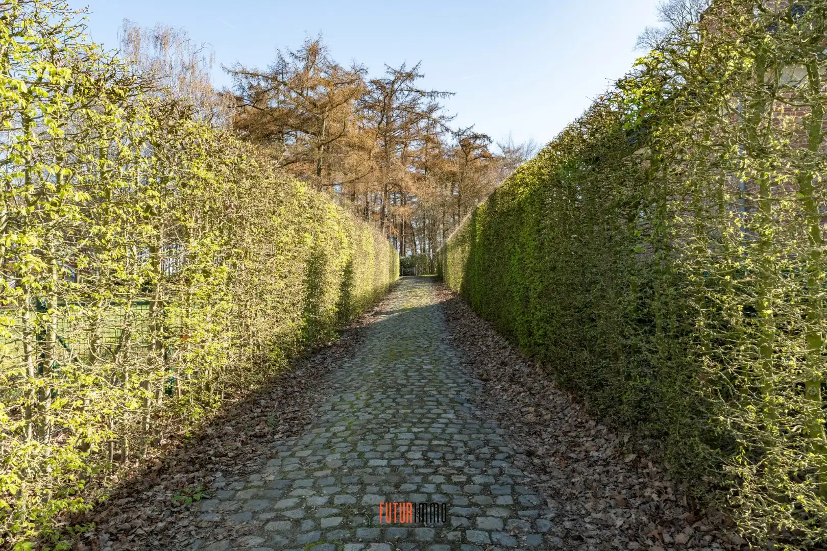 Landelijke woning te Hertsberge foto 16