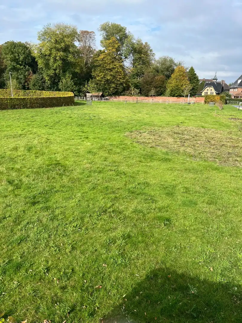 Grond te koop foto 3