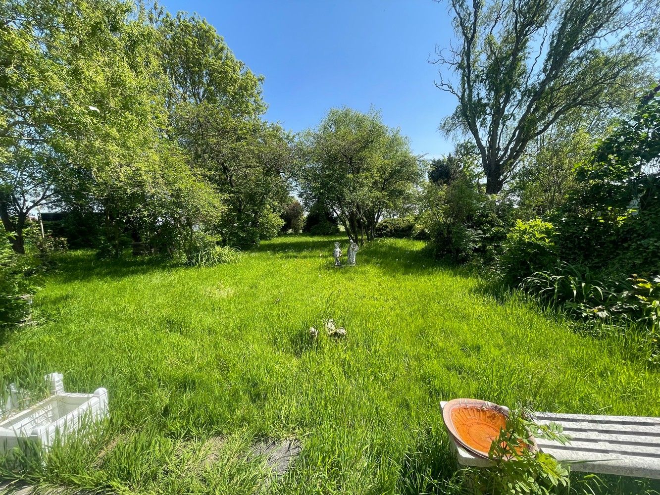 Aartrijke  Pittoreske ligging  Prachtig stuk BOUWGROND  met een oppervlakte van 1.900  m²  idyllische tuin ( ZUID-OOST) met grote diversiteit van bomen struiken en  Stilte gebied foto 6
