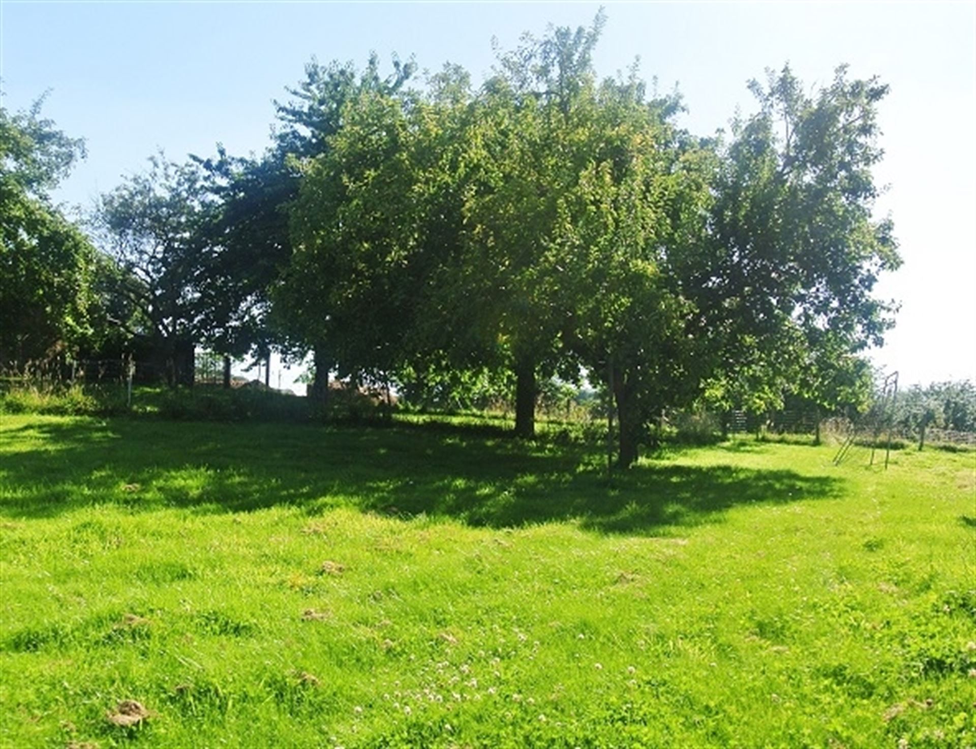 Bouwgrond foto {{pictureIndex}}