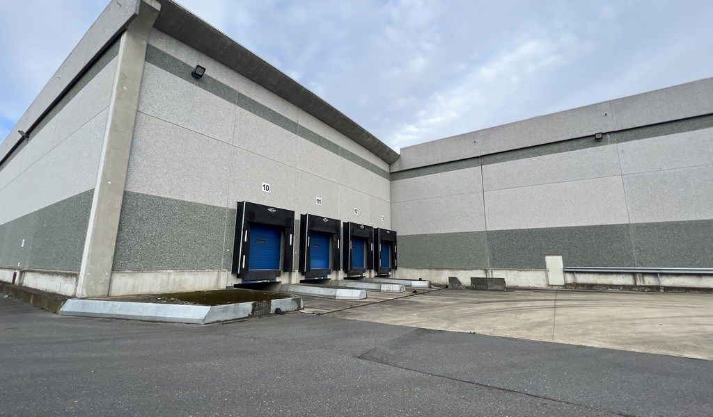 Logistieke loodsen met laadkades vlakbij R42 in Sint-Niklaas foto 2