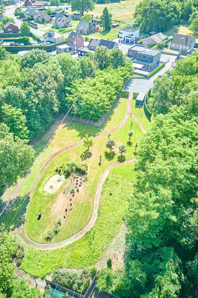 Exclusieve woning met handelzaak,appartement, zwembad en lift. foto 4