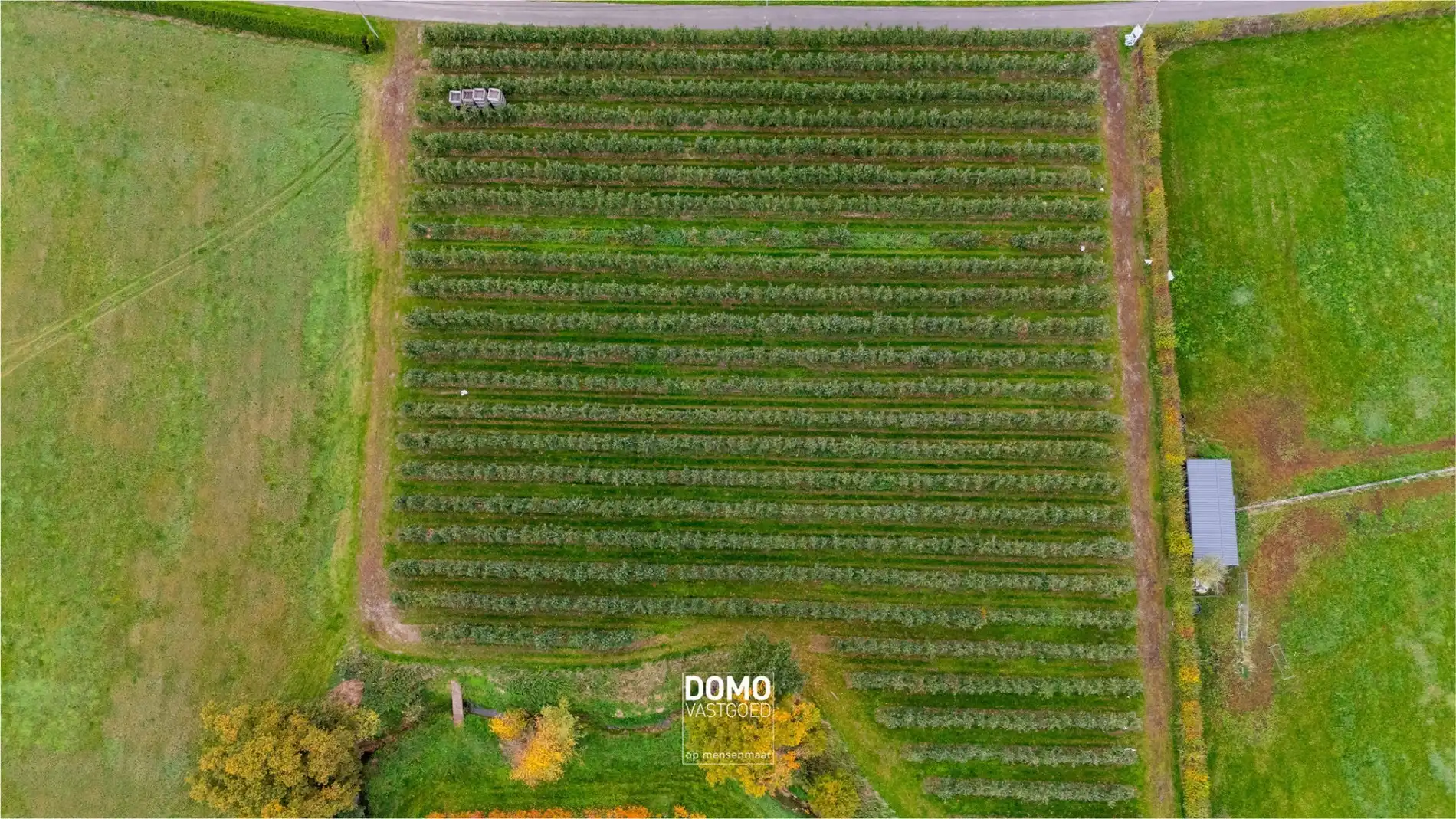 PRACHTIG GELEGEN BOOMGAARD VAN 75A15CA TE KOOP TE HERK-DE-STAD  foto 2