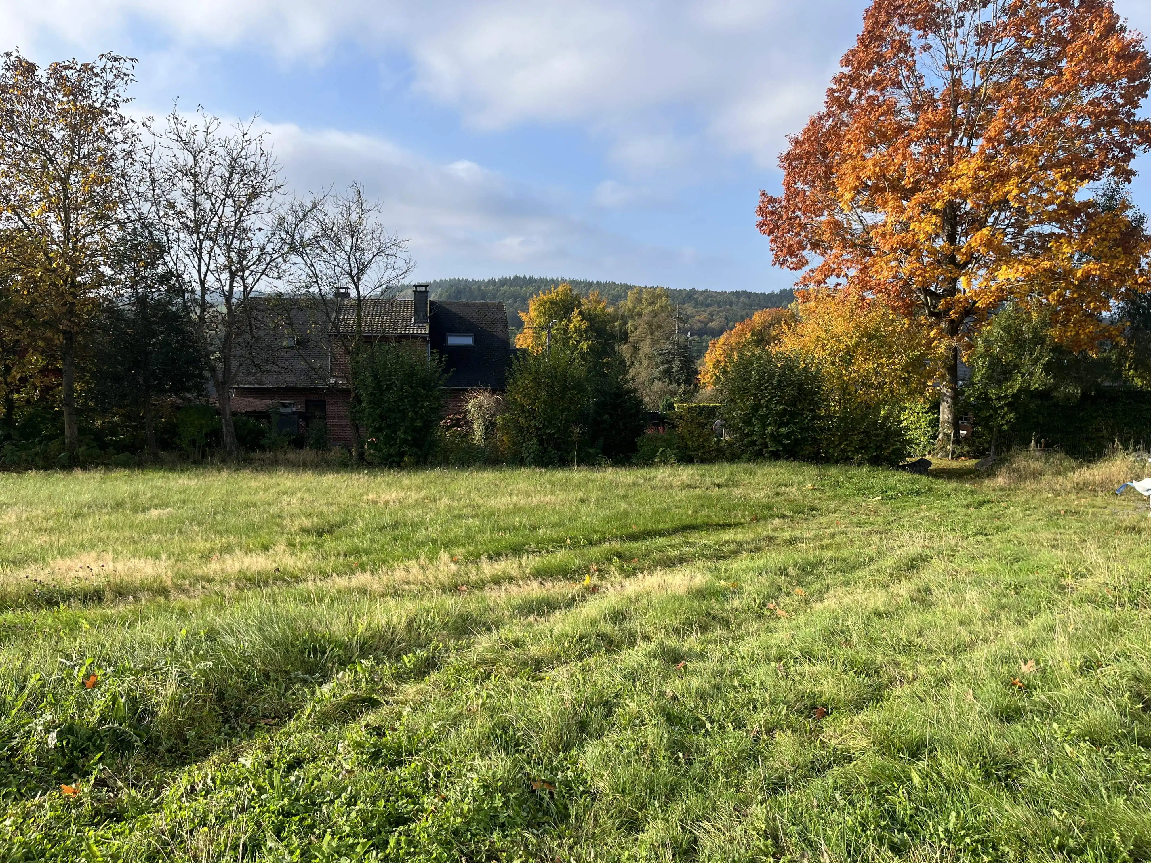 Uniek perceel bouwgrond te koop te Vesqueville foto 9