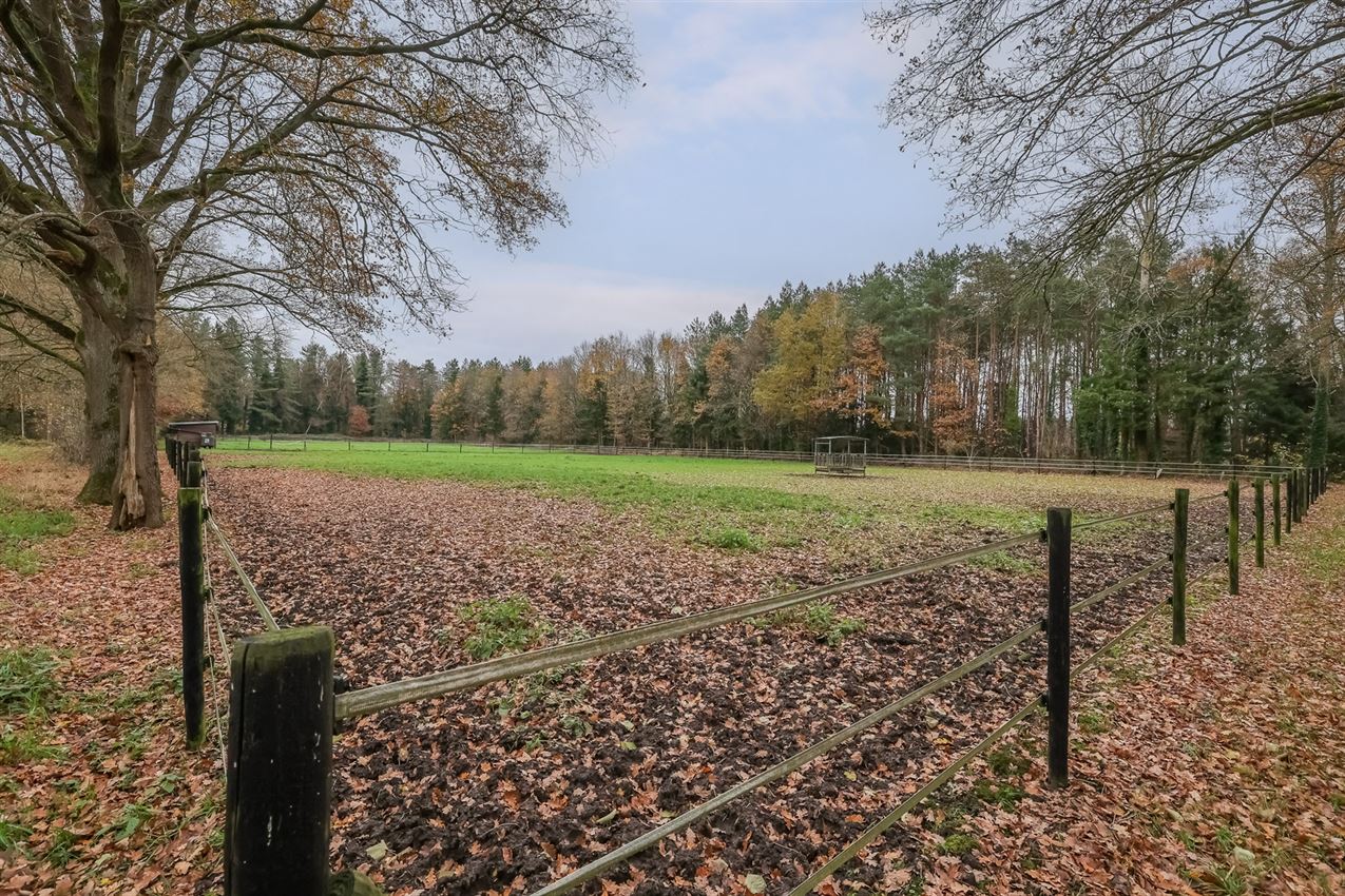 Rustig gelegen woning met weiland en stallen foto 43