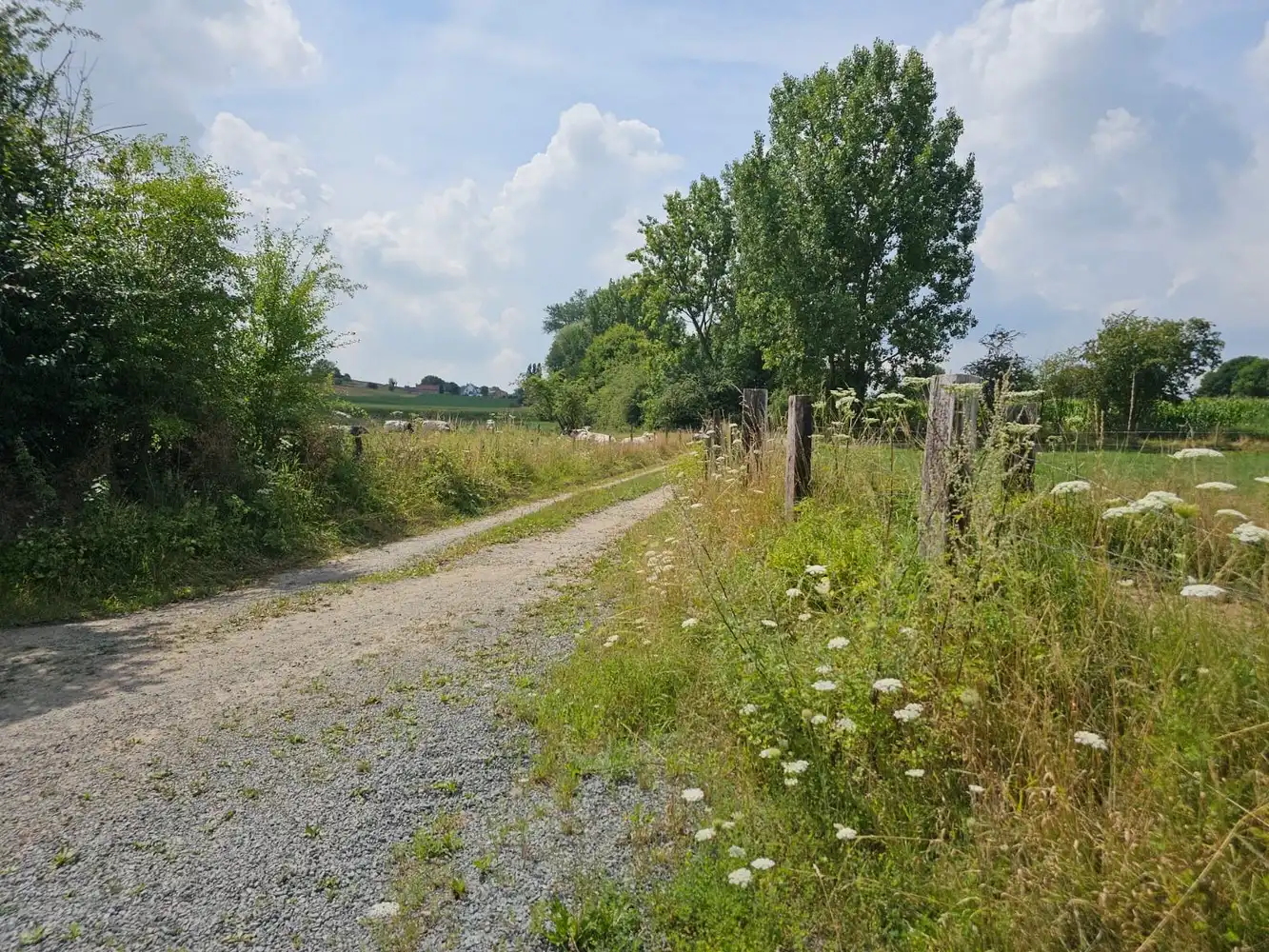 Prachtig gelegen, verder te vernieuwen landgebouw (omg. Congoberg) foto 19