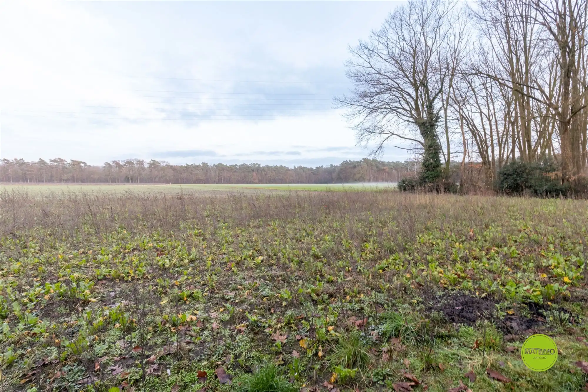 Centraal, rustig gelegen bungalow in het groen van Eksel  foto 20
