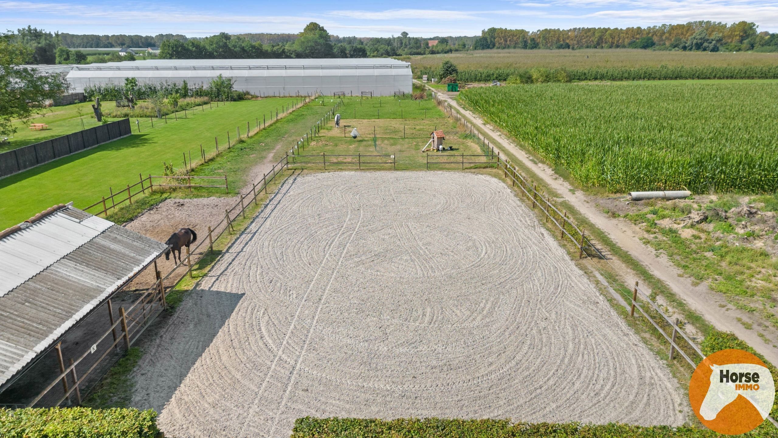 RUMMEN - Charmant woonhuis met paardenstallen en hondentrimsalon foto 7