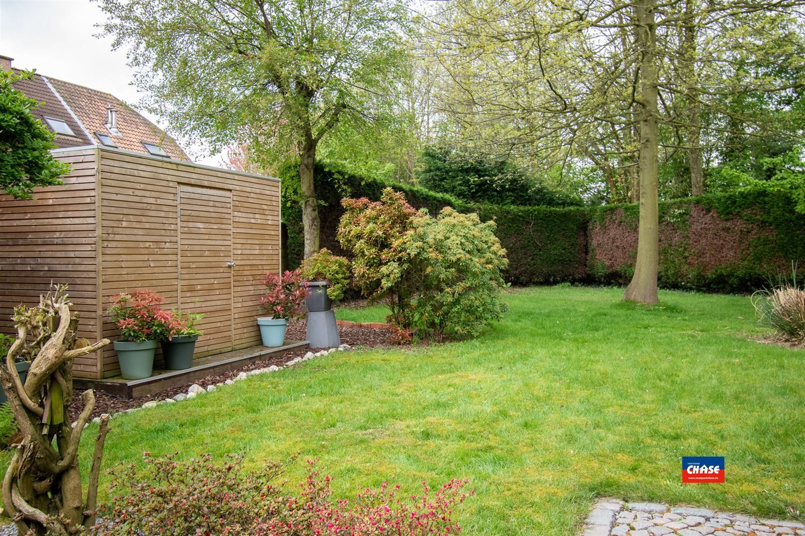 Landhuis met 2 à 3 slaapkamers, garage en grote tuin foto 7