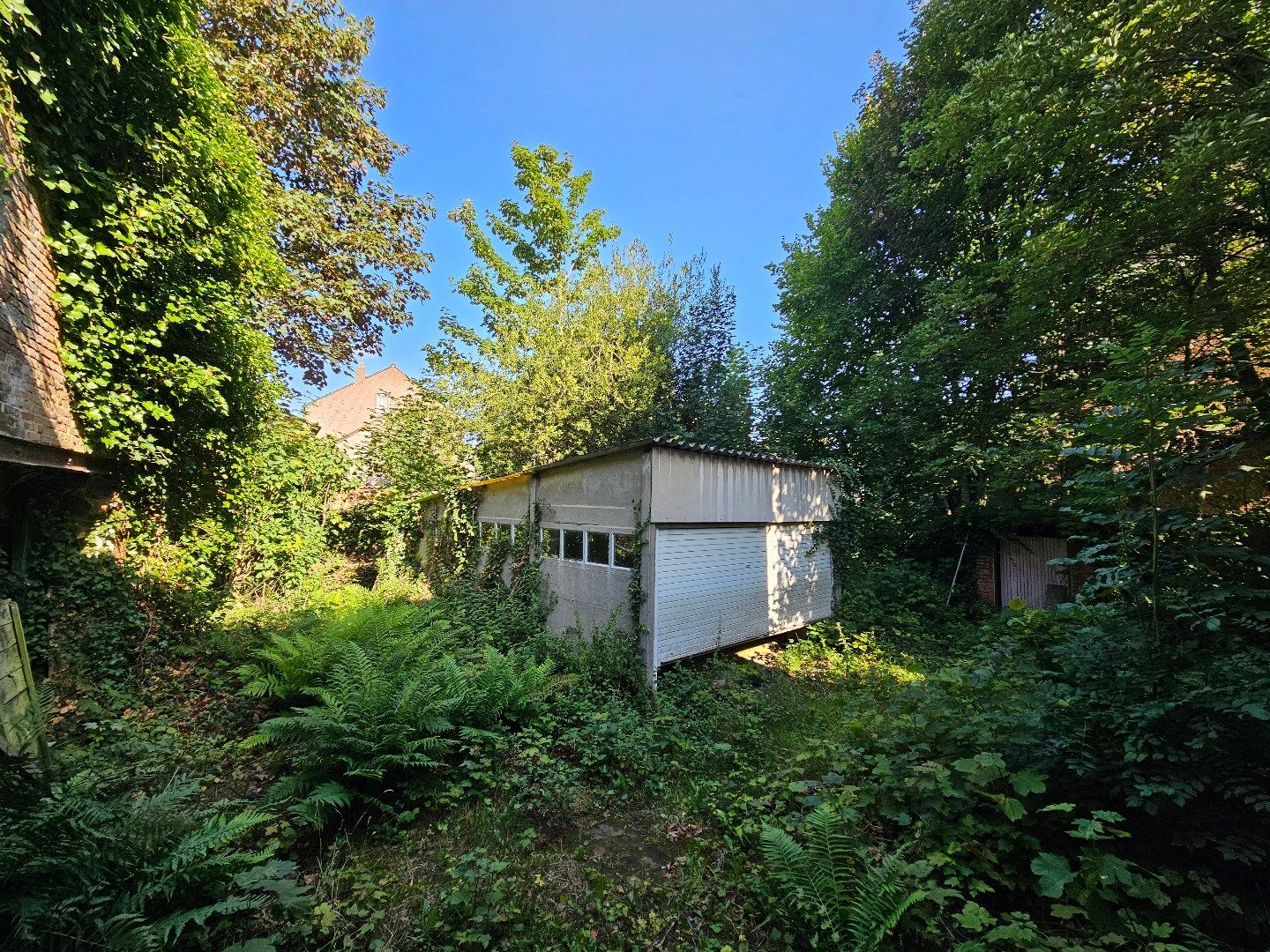  foto 7