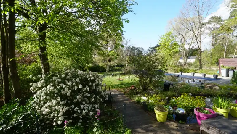 Landhuis van 269m² op 15 are met praktijkruimte/kantoor of kangoeroewoning foto 29