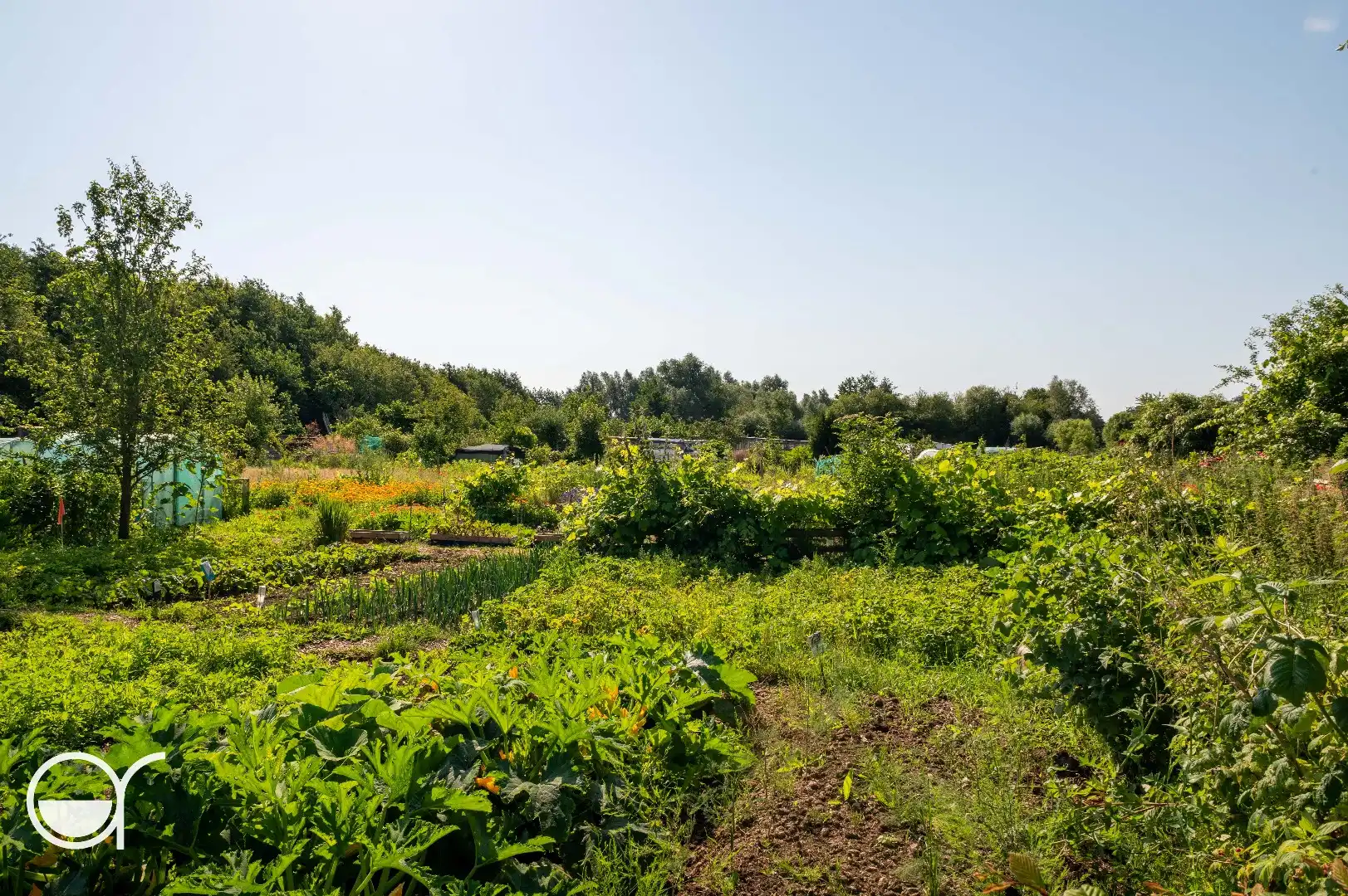 Landbouwgrond met 24 volkstuinen foto 3
