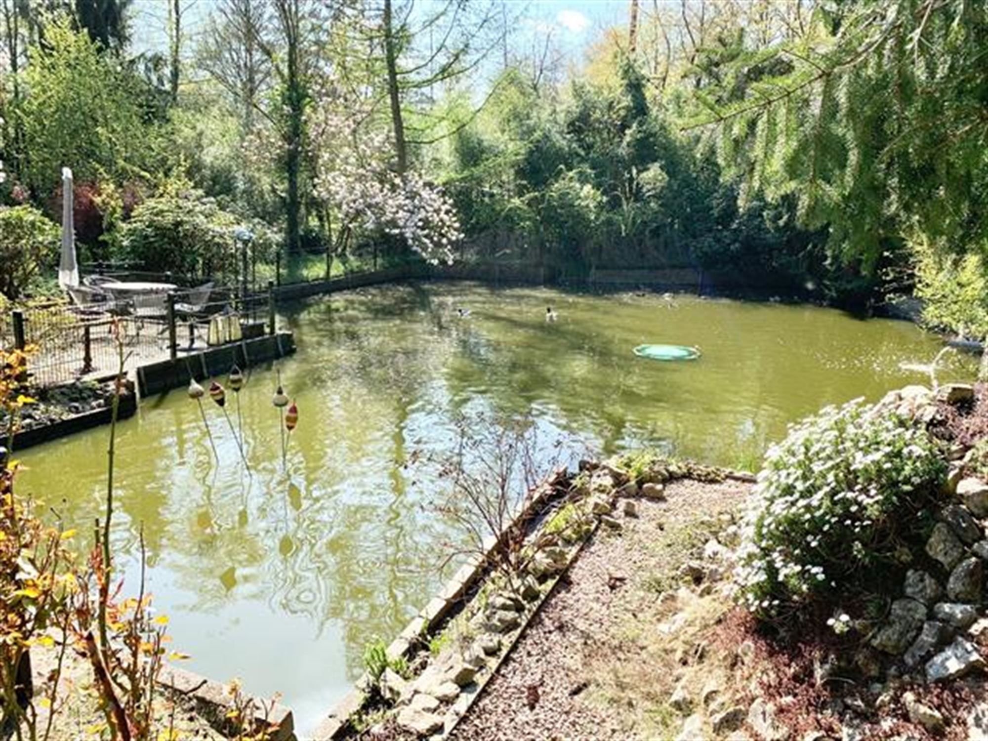 instapklare vakantiewoning in een uniek natuurgebied foto 19