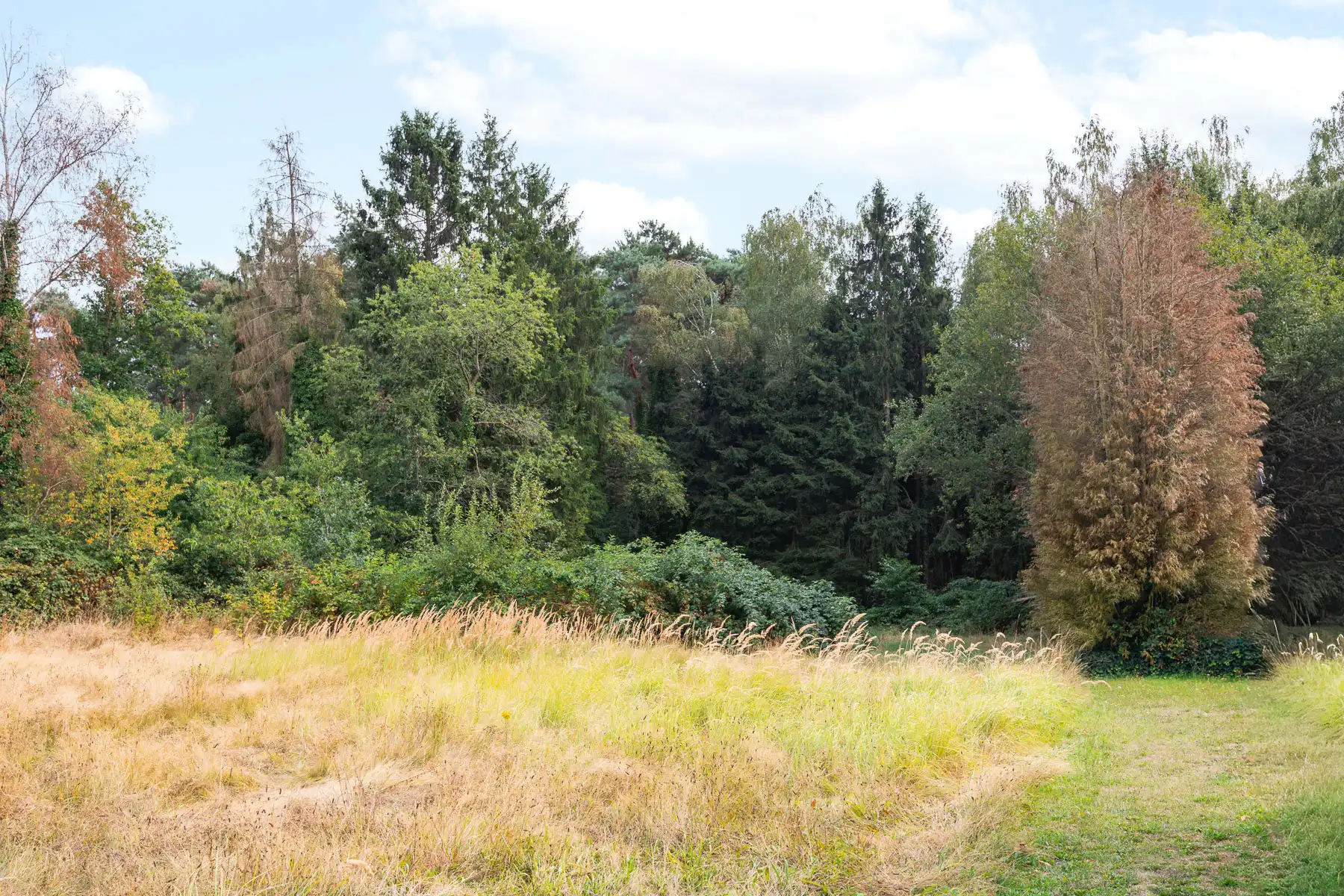 Prachtig groen recreatiedomein van maar liefst 50are! foto 6