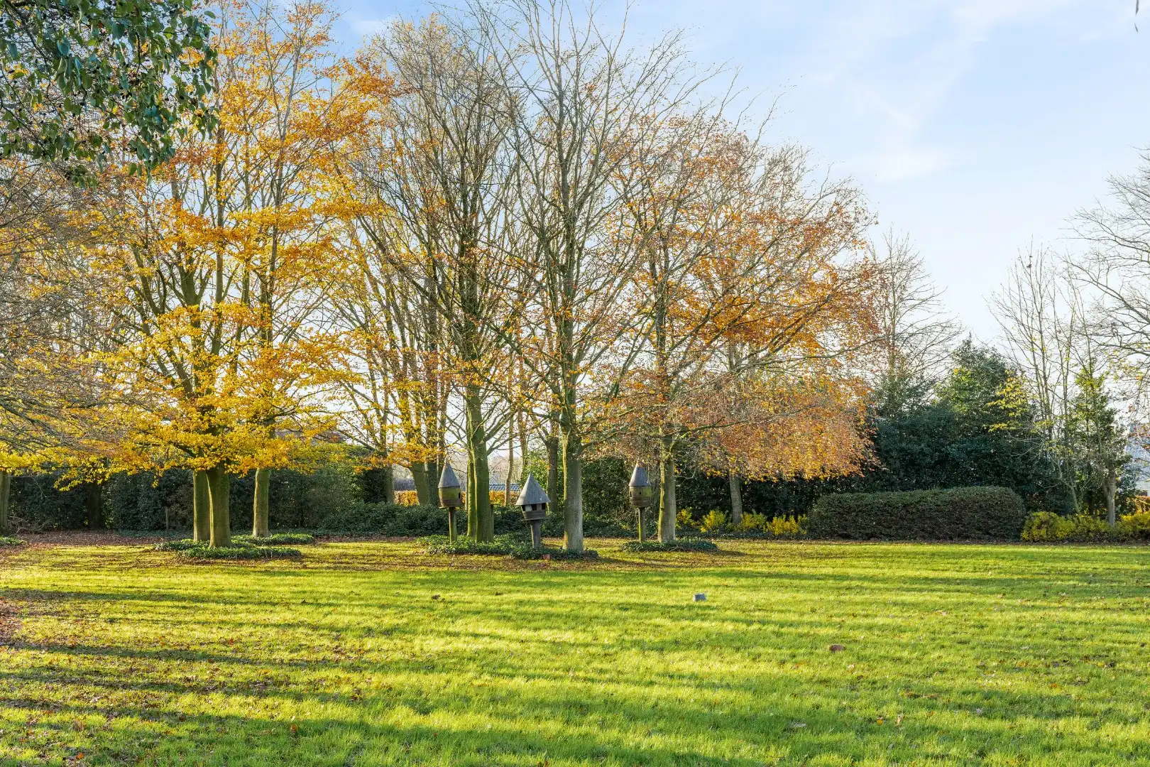 Unieke eigendom met 2 schuren, kapschuur, paardenstal en verzichten foto 20
