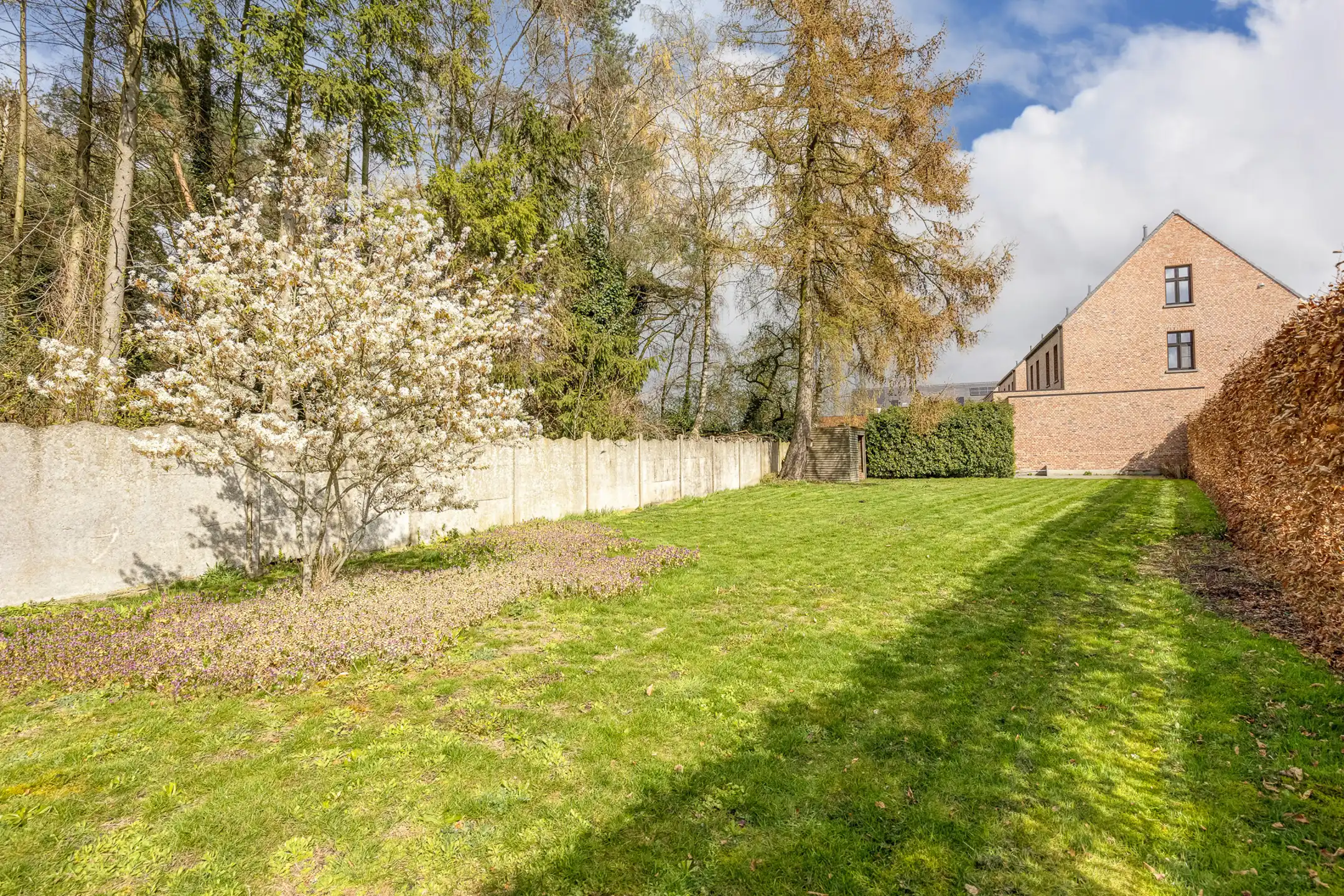 Instapklare woning met 4 slpks en tuin nabij centrum Beerse foto 48