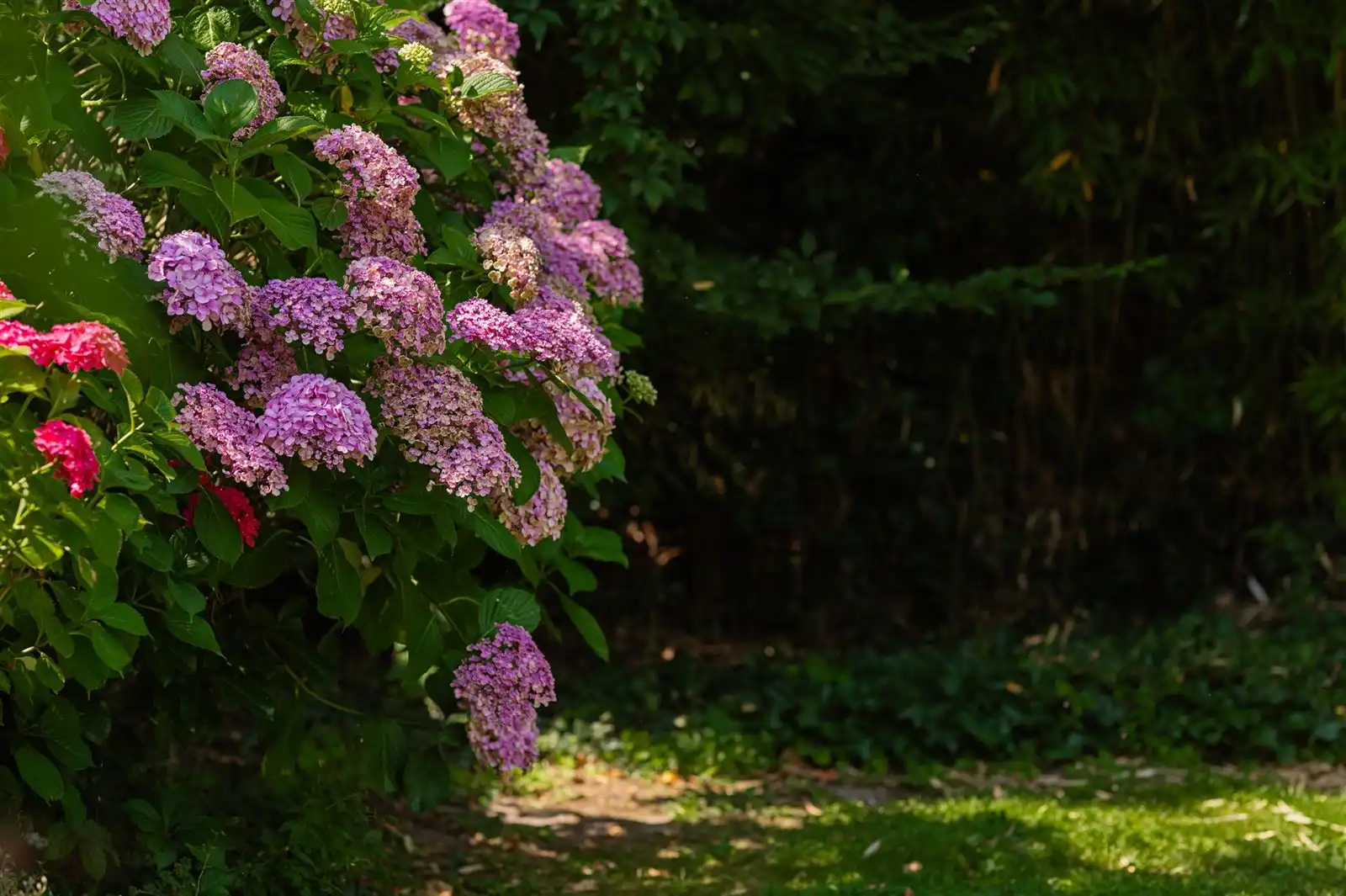 Herenwoning met mogelijkheid meergezinswoning of praktijk foto 3