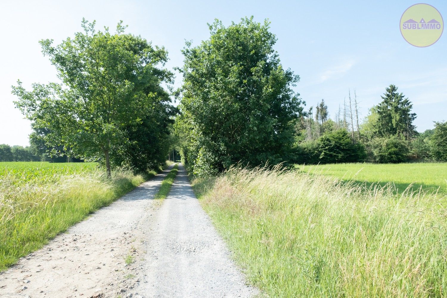 Te renoveren langgevelhoeve op unieke locatie in Balen – 18.729 m² grondoppervlakte foto 22