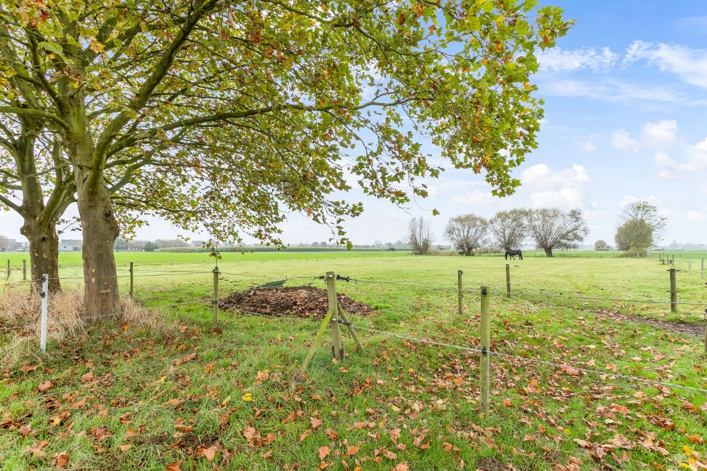 Mooi stuk weiland van 7490m² met schuilhok te koop in Hoevenen foto 2