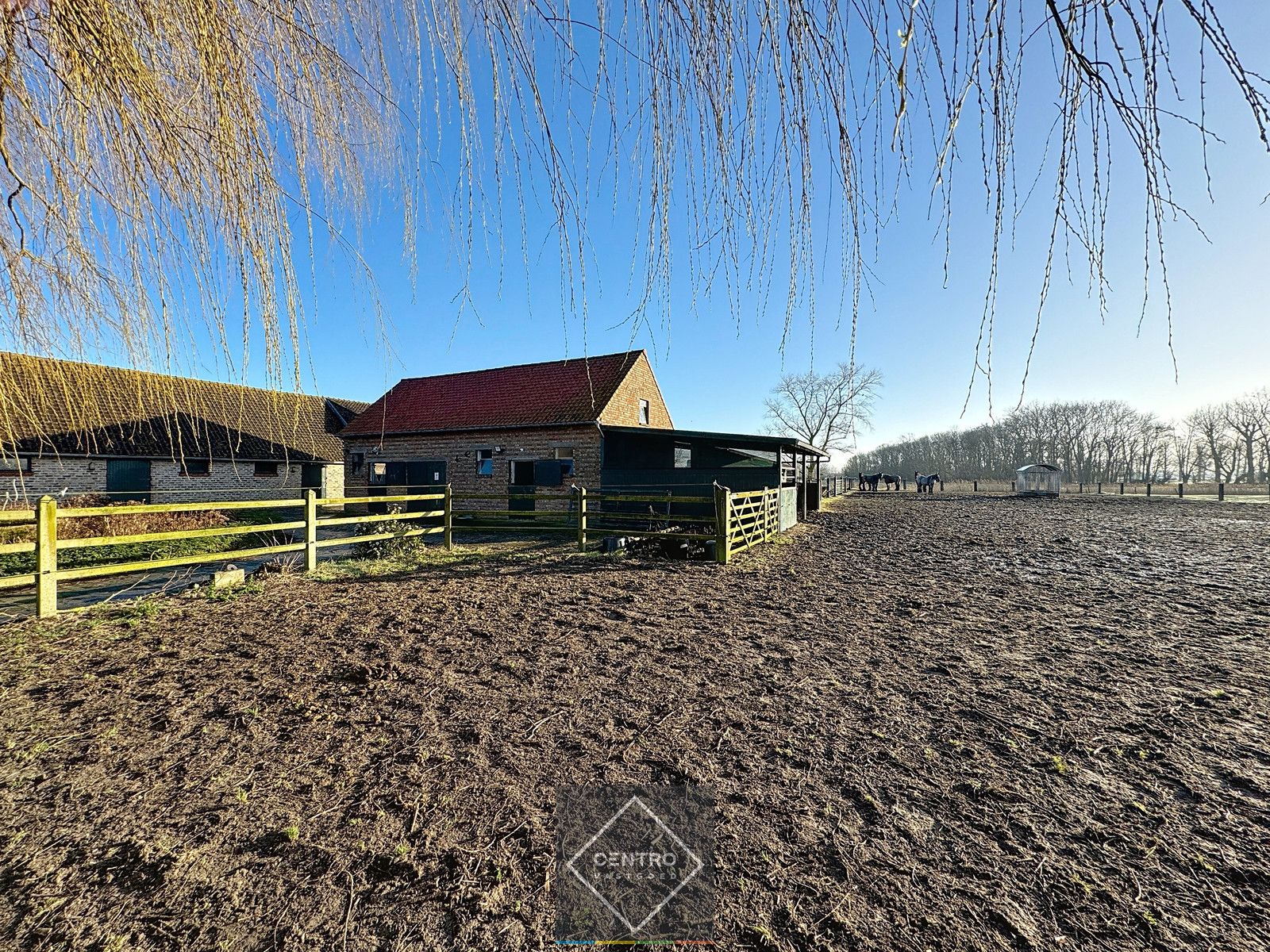 UNIEK gelegen hoeve op TOPligging te Zuienkerke! foto 20