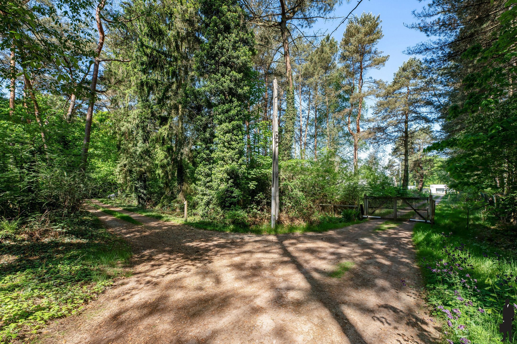 Exclusieve en uniek gelegen Engelse cottagevilla met orangerie, zwembad en aanpalende bouwgrond op ca. 1,9 ha in bosrijke omgeving. foto 22
