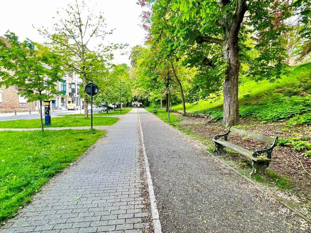 Grote gerenoveerde stadswoning geschikt voor co-housing, in de buurt van het Gent-Sint-Pietersstation. foto 42