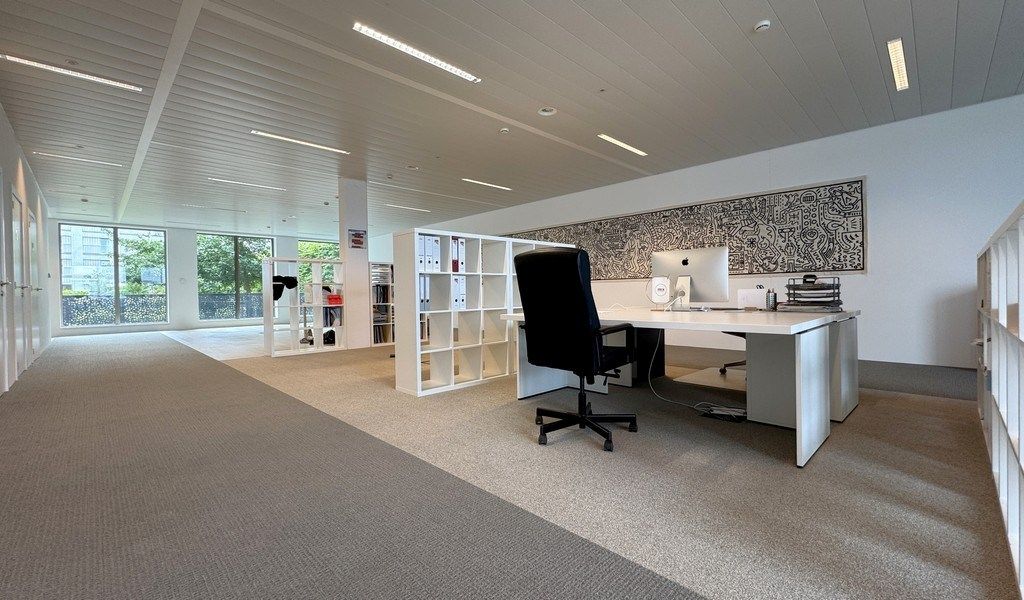 Commercieel gelijkvloers kantoor te koop op 't Eilandje in Antwerpen foto 4