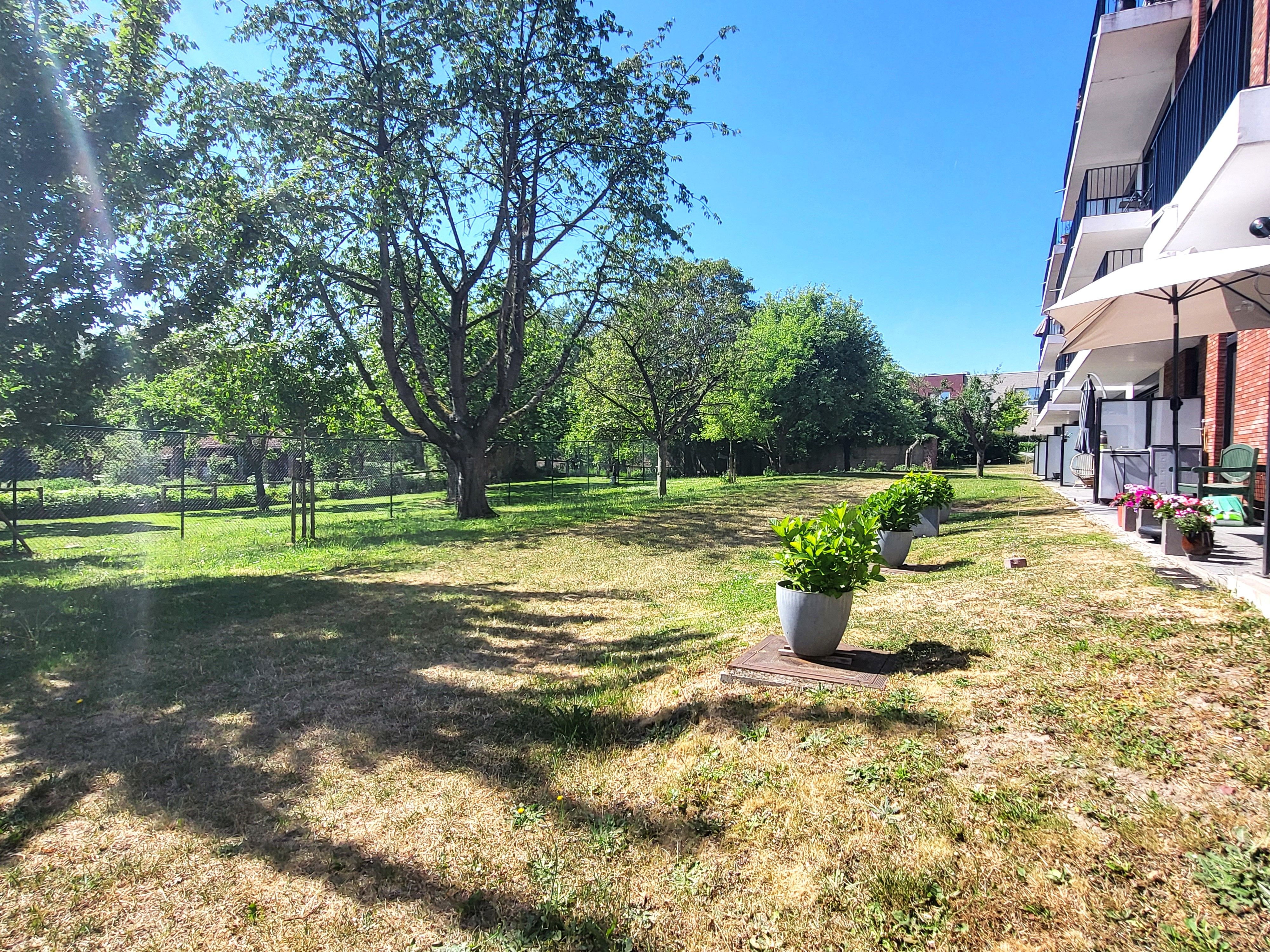 Prachtige assistentiewoning van 70m² met zonnig terras en gemeenschappelijke tuin, veel lichtinval! Ideale investering, verhuurd aan 26,21€/ dag.  foto 3