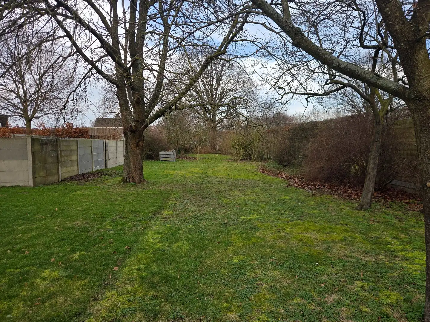 Bouwgrond van 1.013 m² voor een ruime HOB te Oevel (Westerlo) ! foto 4
