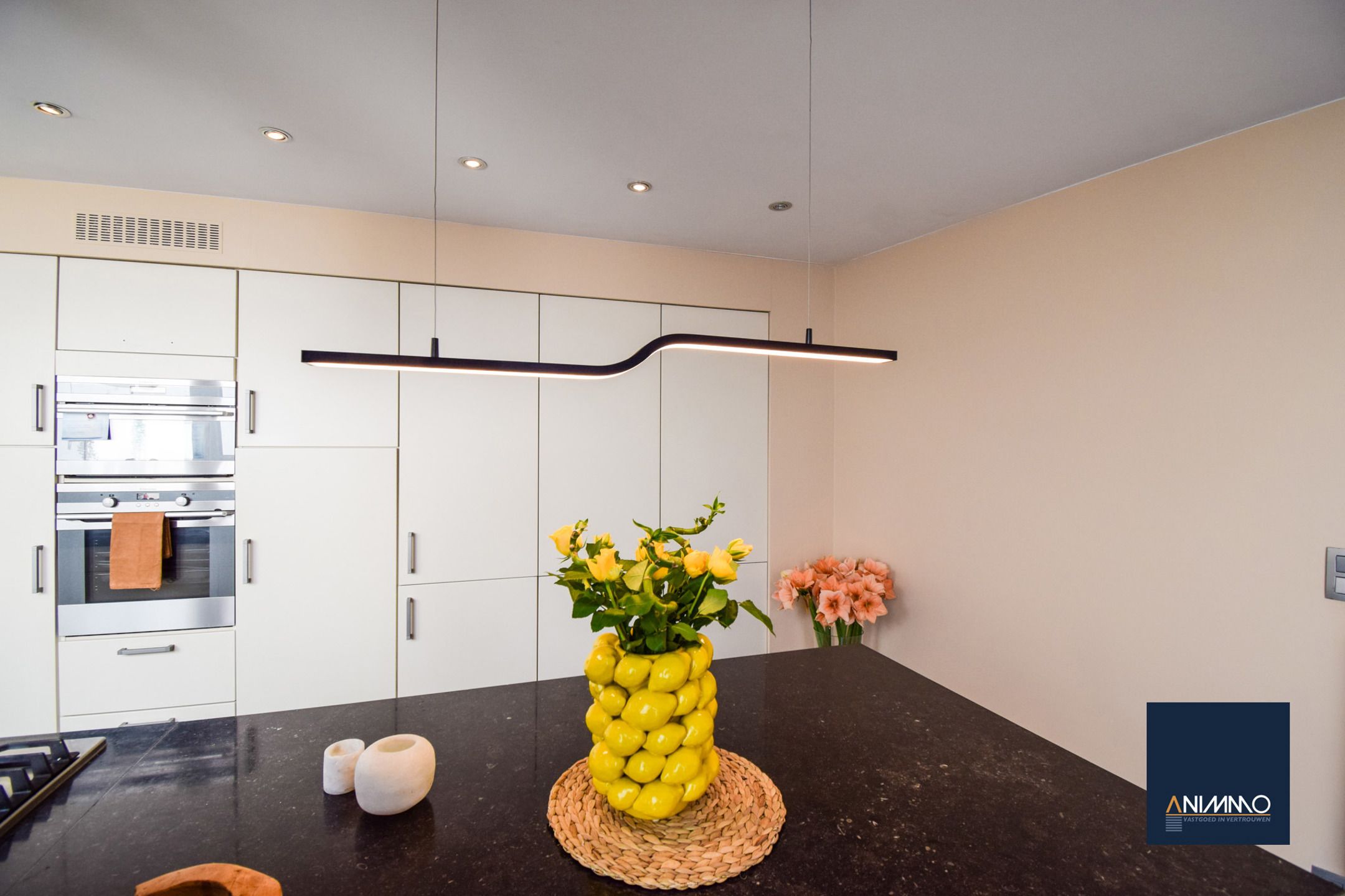 Huis te koop foto 11