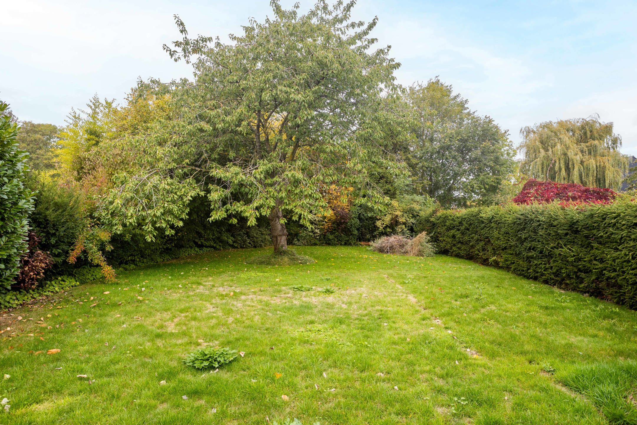 Rustig gelegen woning te koop in Ronse foto 23