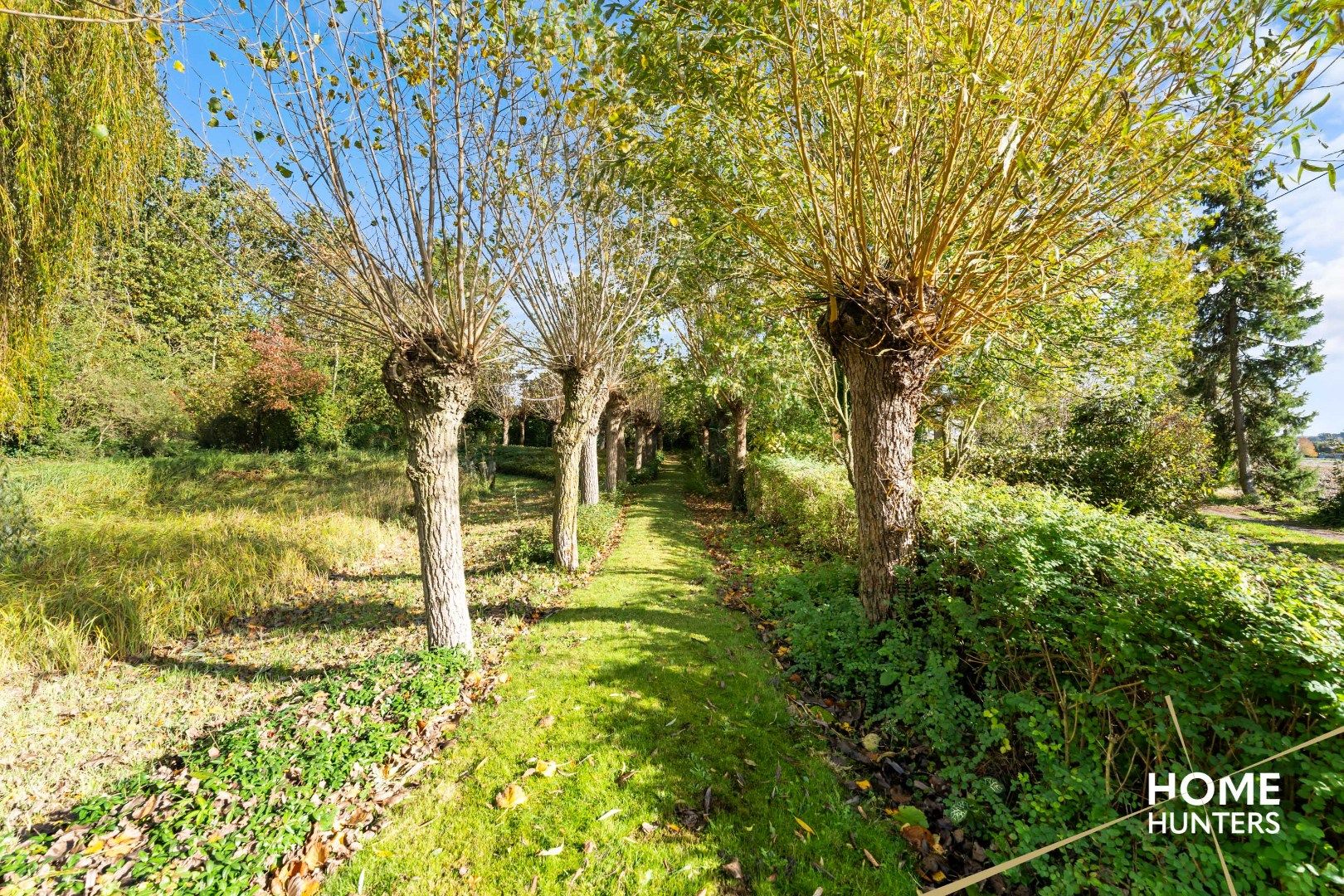 Te renoveren woning op royaal perceel van 4829m² in oase van groen en rust foto 8